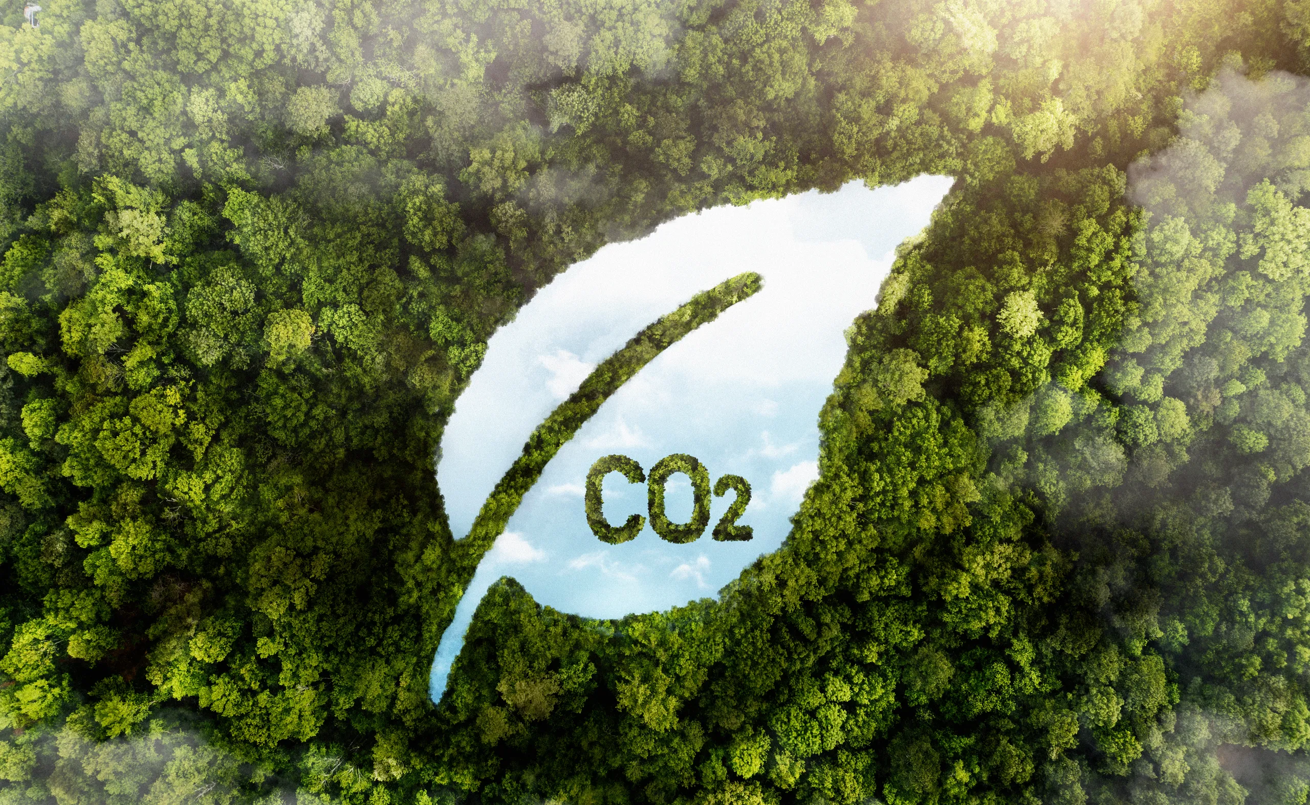 Vender un coche sin etiqueta medioambiental